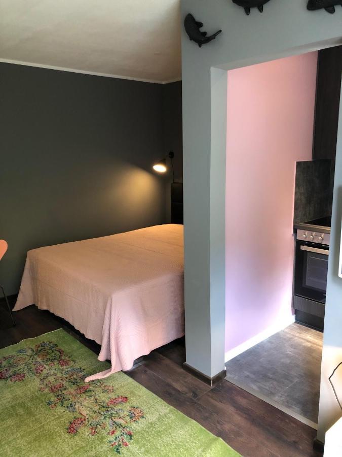 Studio Apartment In Dresden-Neustadt Esterno foto